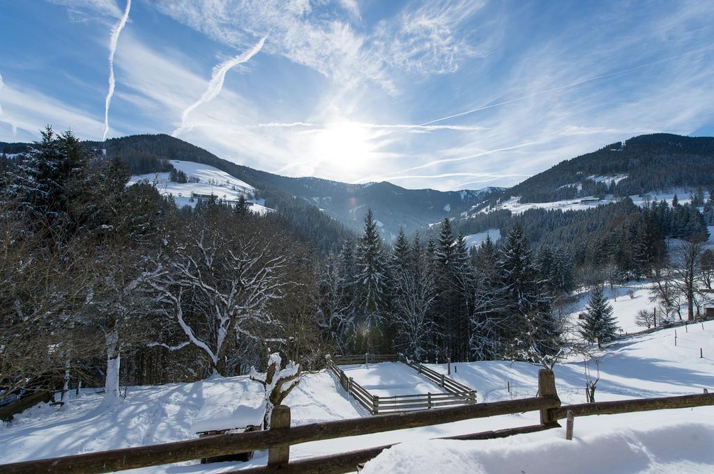 Hotel Gasthof Erbhof Anderlhof Леоганг Экстерьер фото
